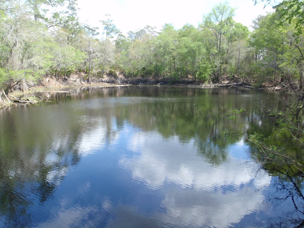 The Santa Fe River Sink by SCBerry