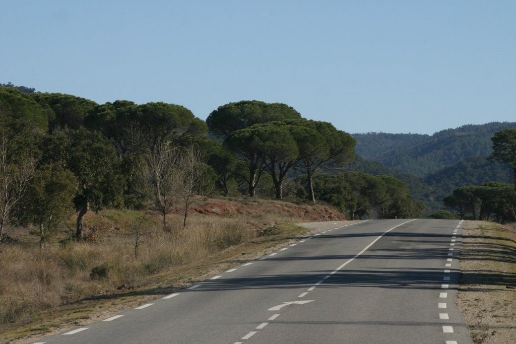 Driving to St Tropez in January Nr04 by MBagyinszky