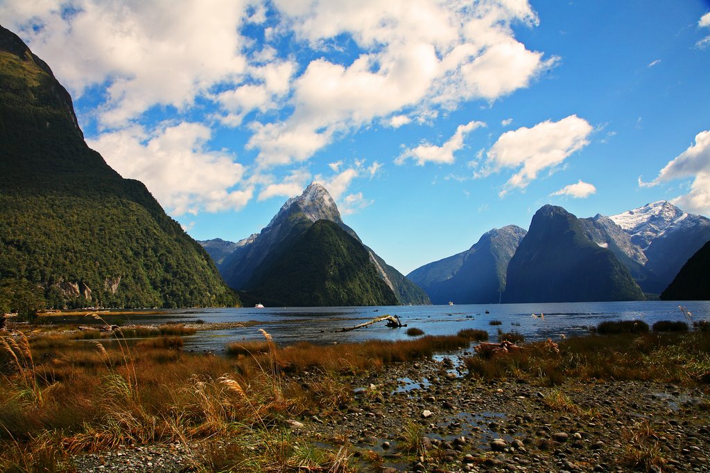 NZ / Milford Sound by bulach