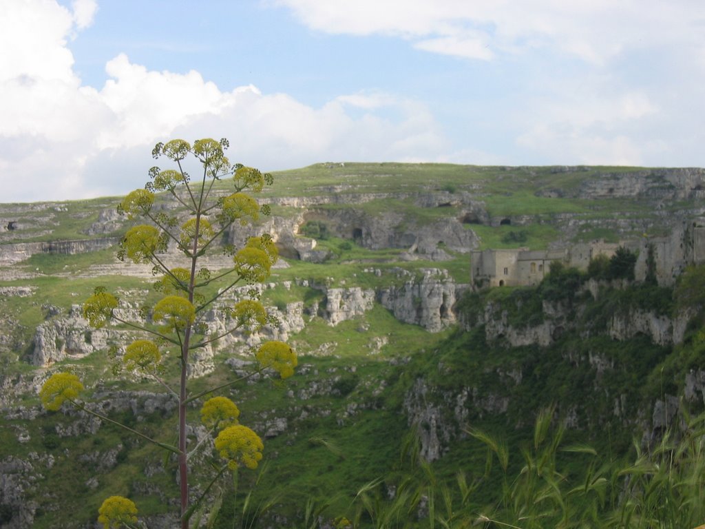 Matera, i Sassi. by Rodi