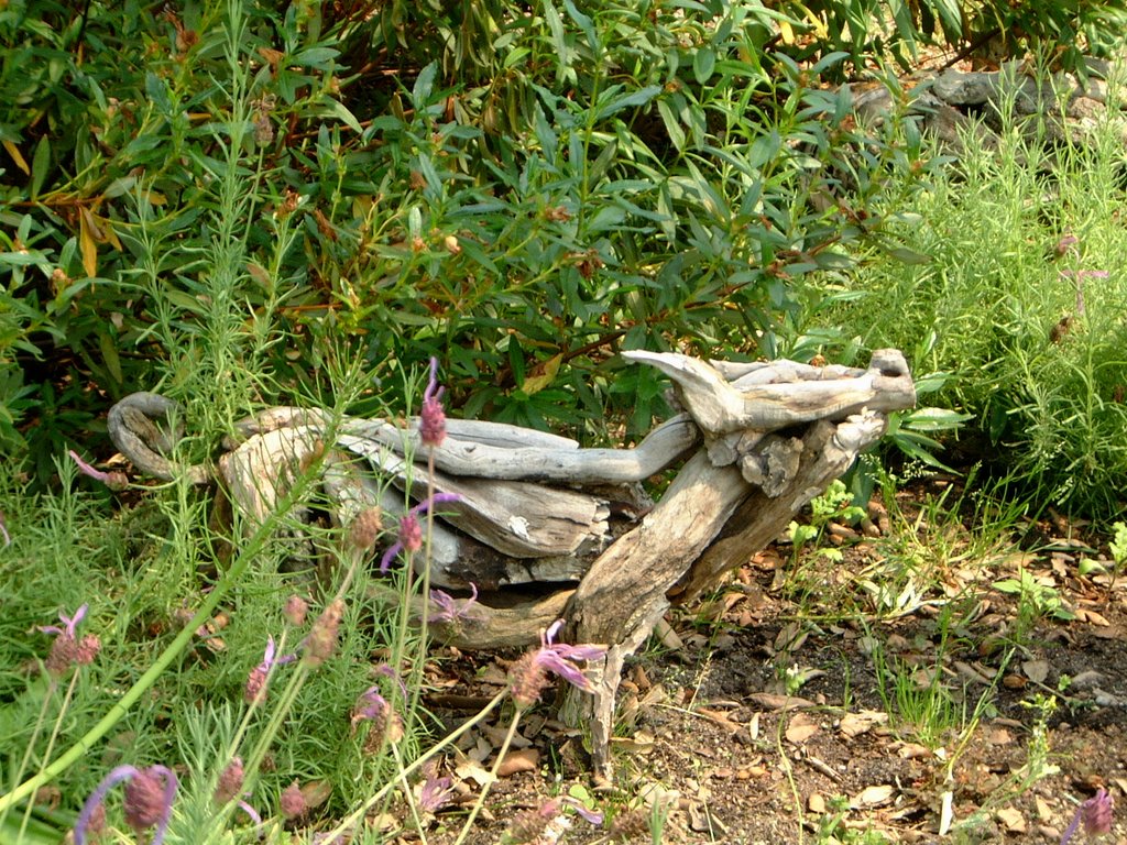 Eden project 29.5.2006 by Stephen Rogers