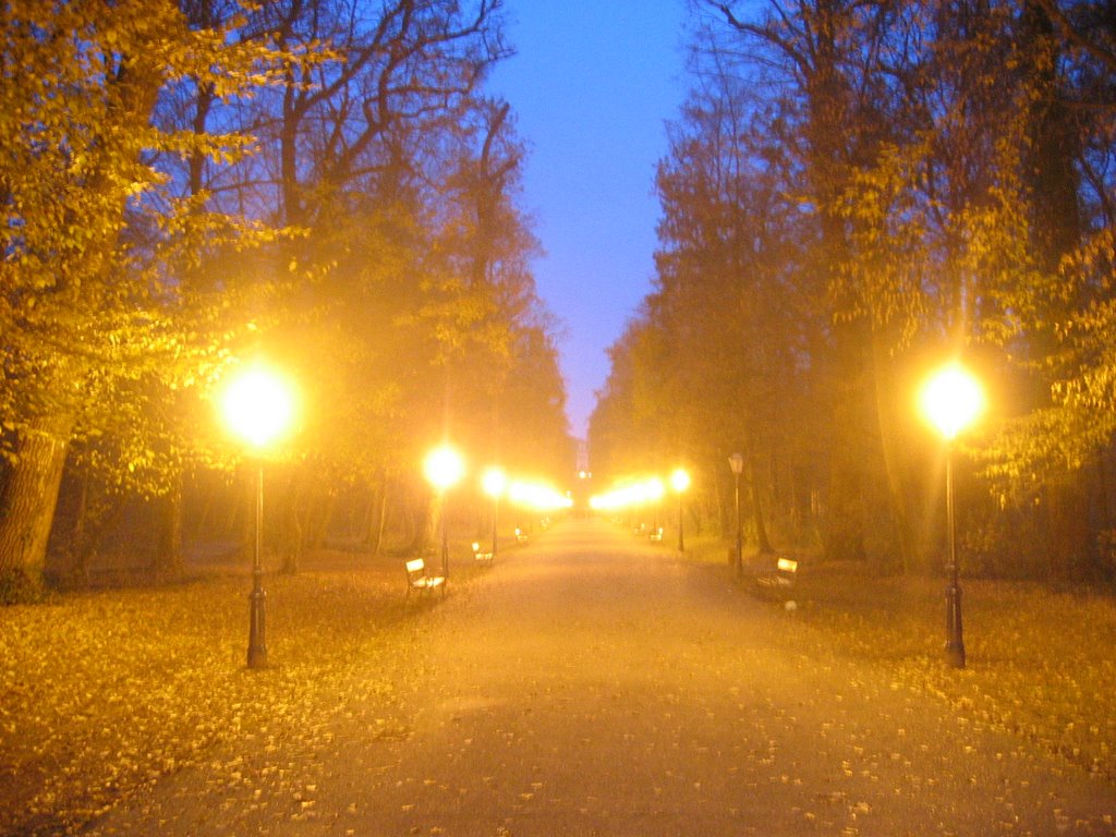 Perivoj Maksimir on an Autumn Night by thebackslash