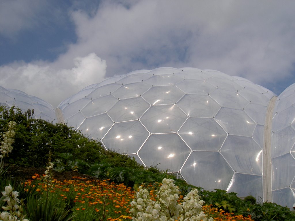 Domes, Eden Project by Wooster2839