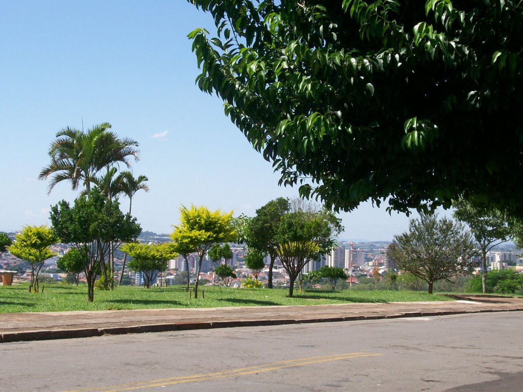 Entre árvores da praça vejo a cidade by Cleuza Daros