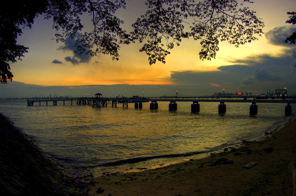 Labrador Park by cyiamlee