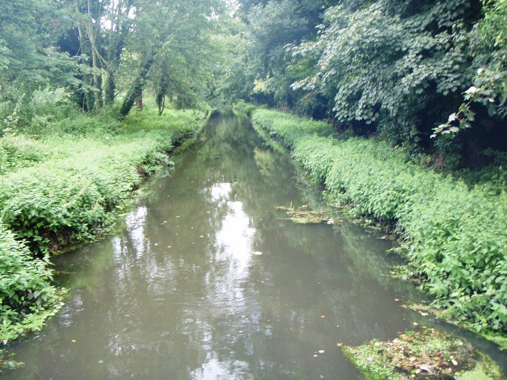 Wandle at Watermeads Islands (13.08.08) by River Restoration Centre