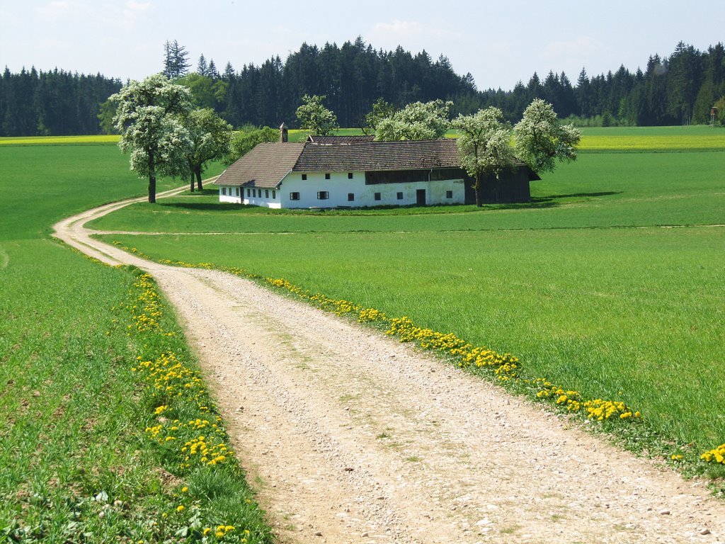 Bauernhaus im Frühling by Kallaschek Robert