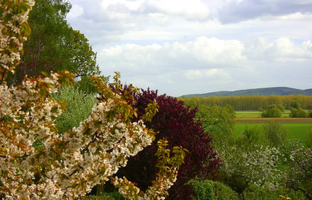 Blick aufs Wiehengebirge by 1722konny