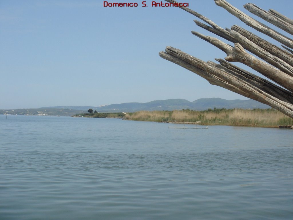 Bagno,Cagnano Varano by Domenico S. Antonacci