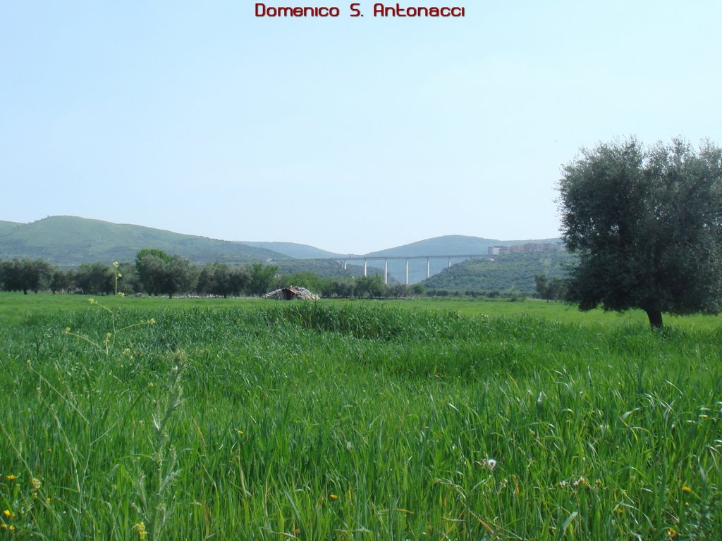 Bagno,Cagnano Varano by Domenico S. Antonacci