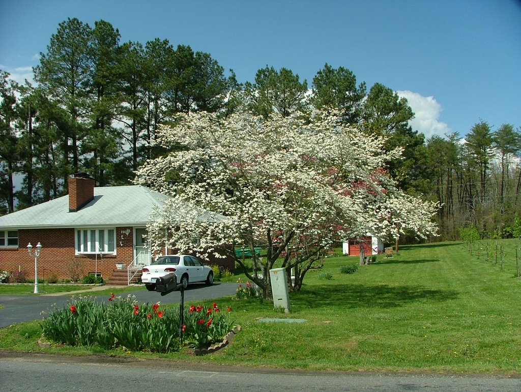 House on Colebrook Rd by TimPoe