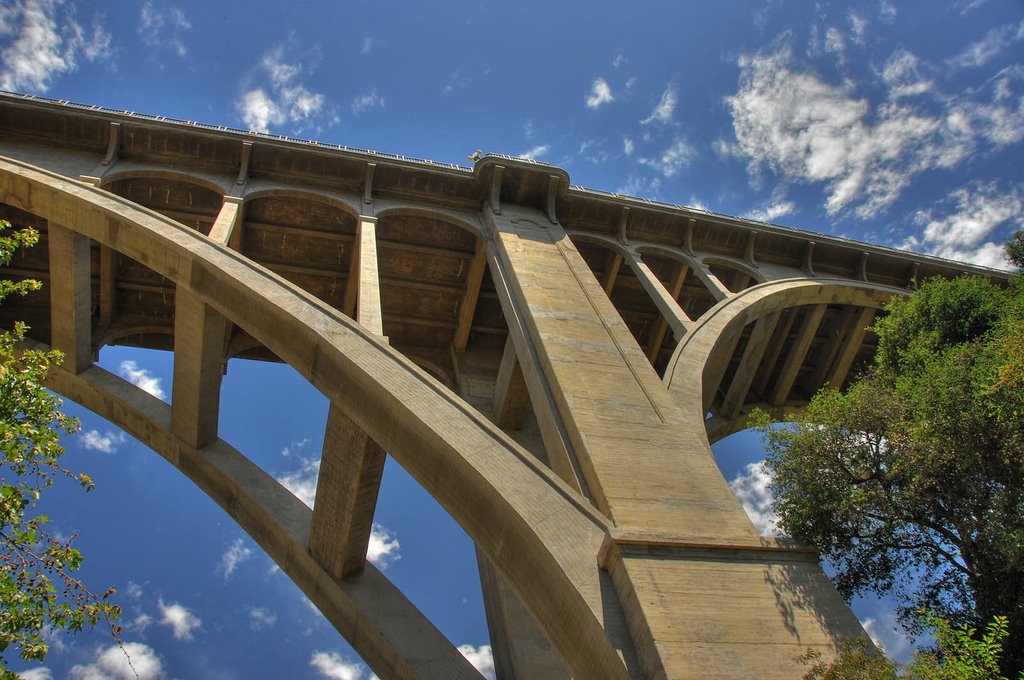 Suicide Bridge - Pasadena California by Thomas Hart