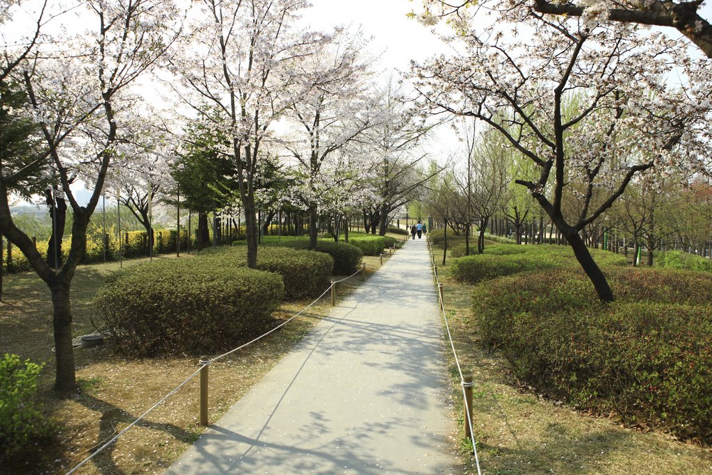 Seonyudo Park 선유도공원 by visitkorea.or.kr