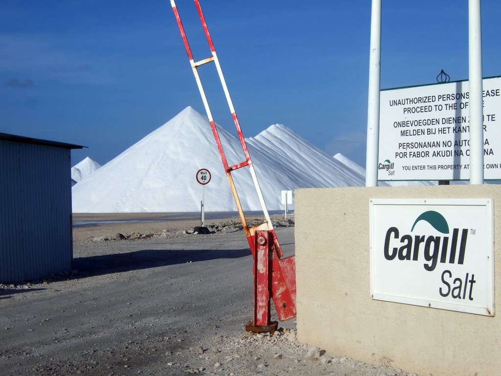 Cargill Salt Bonaire by boekholt64