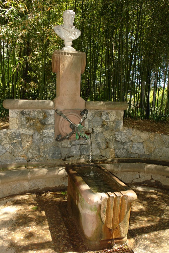 Fuente de Gaudi by tonisavbcn