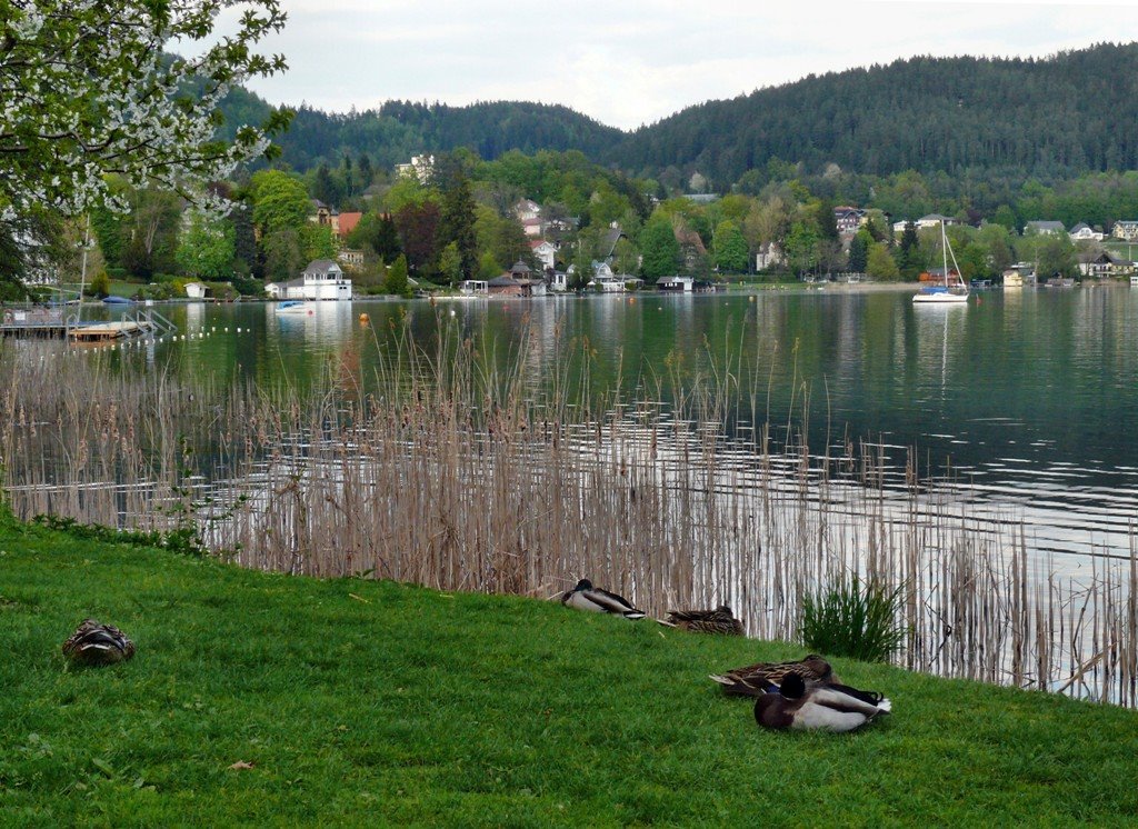 Am Woerther See 4 by Josef Grohs