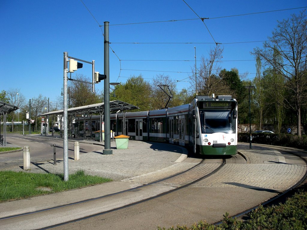 Straßenbahn-Linie 1 | Endhaltestelle Neuer Ostfriedhof by StefanKretz