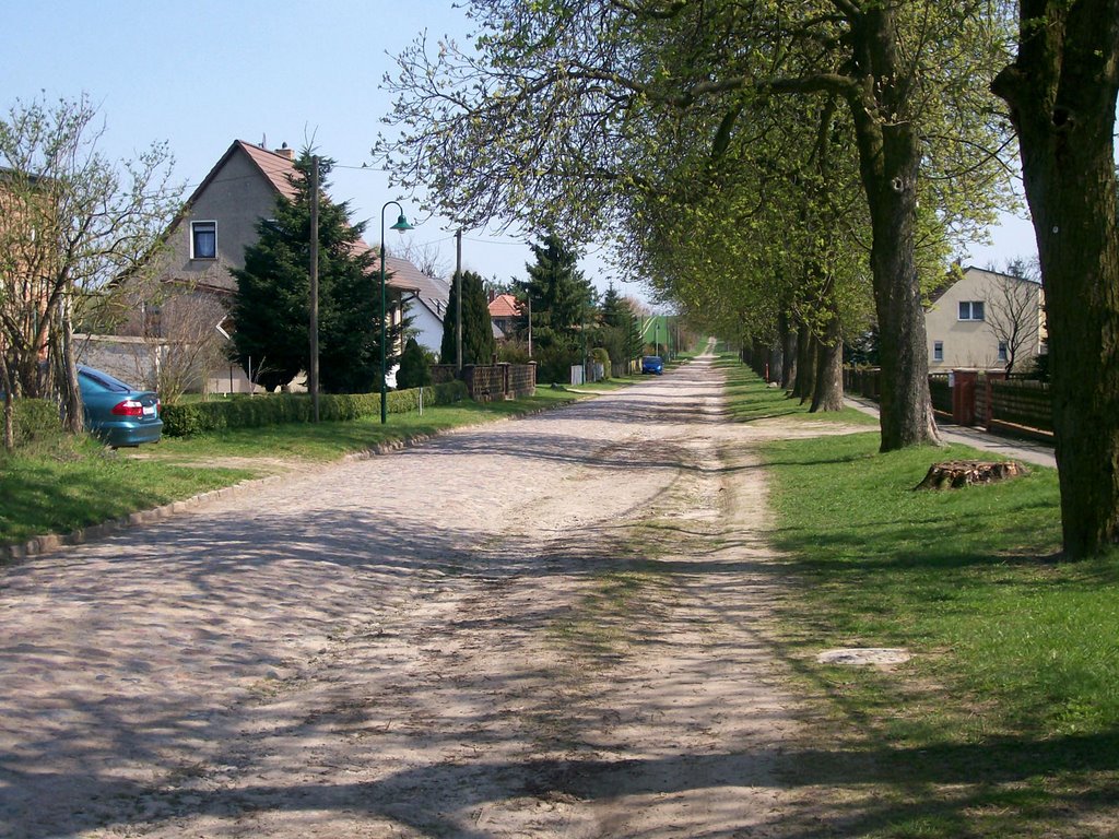 Gölsdorf, Kastanienallee (Weg nach Tempelberg) by Klaus Brinkmann