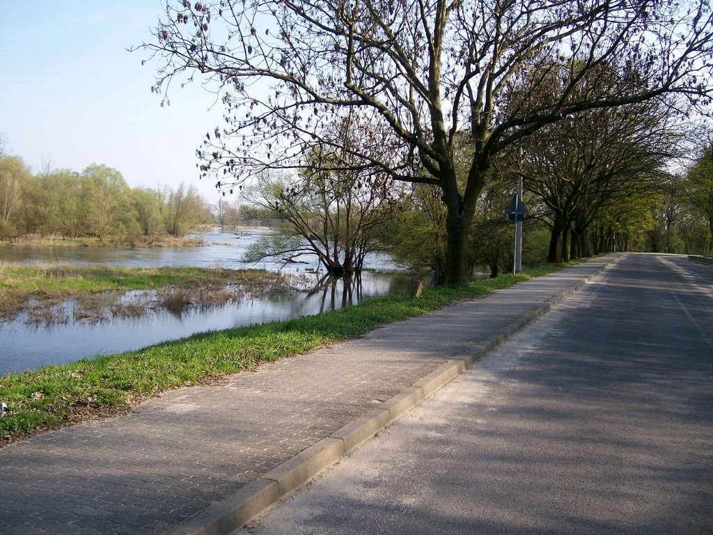 Küstrin-Kietz, Karl-Marx-Straße (am Oder-Vorflutkanal) by Klaus Brinkmann