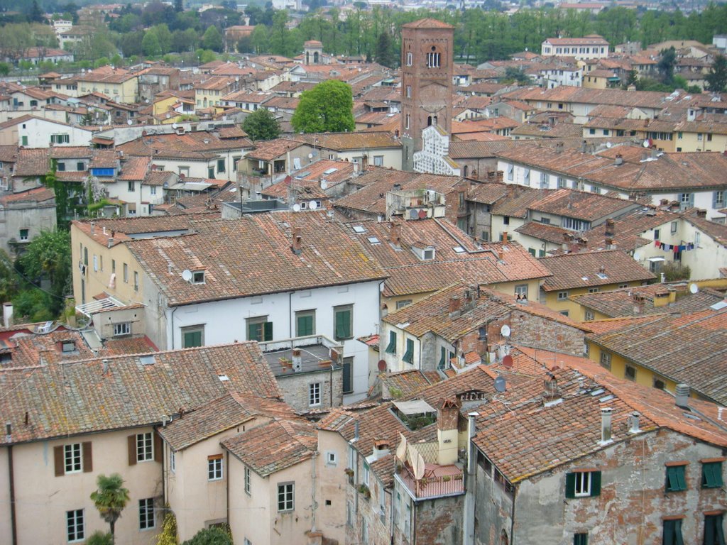 Lucca desde Torre Guinigi (Noreste) by turbica