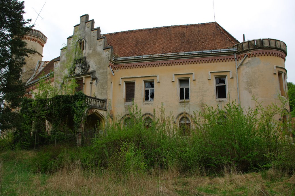 Castle in Slivnica - main entrance by rlubej