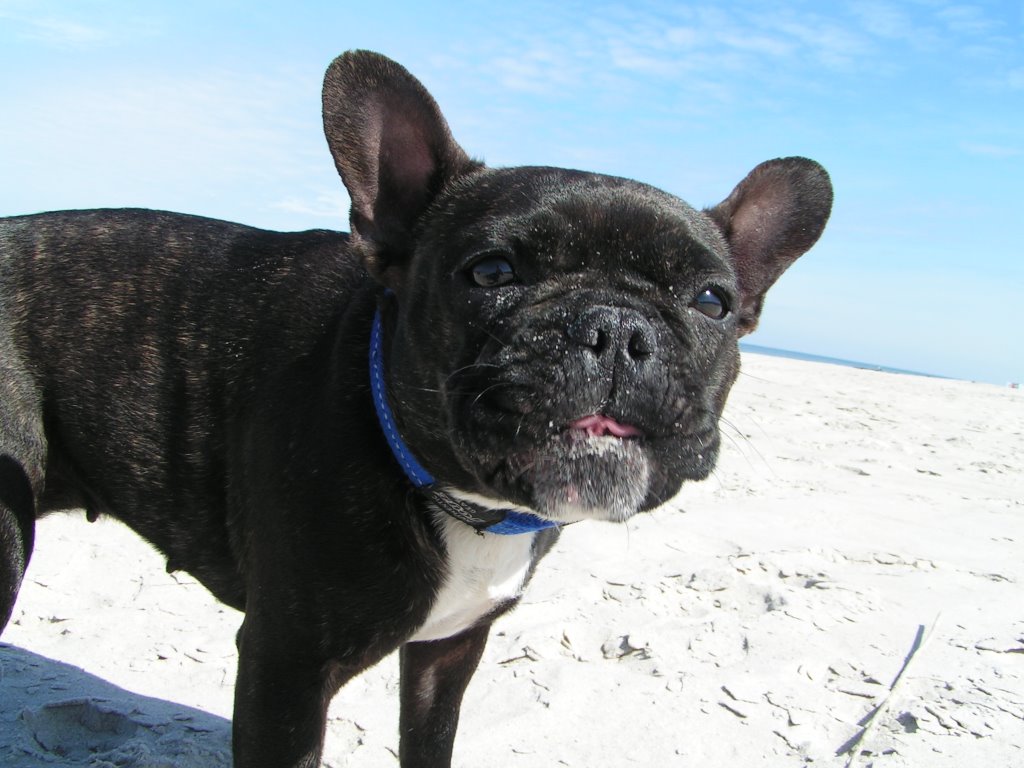 Neska on the beach:) by Dawid_77