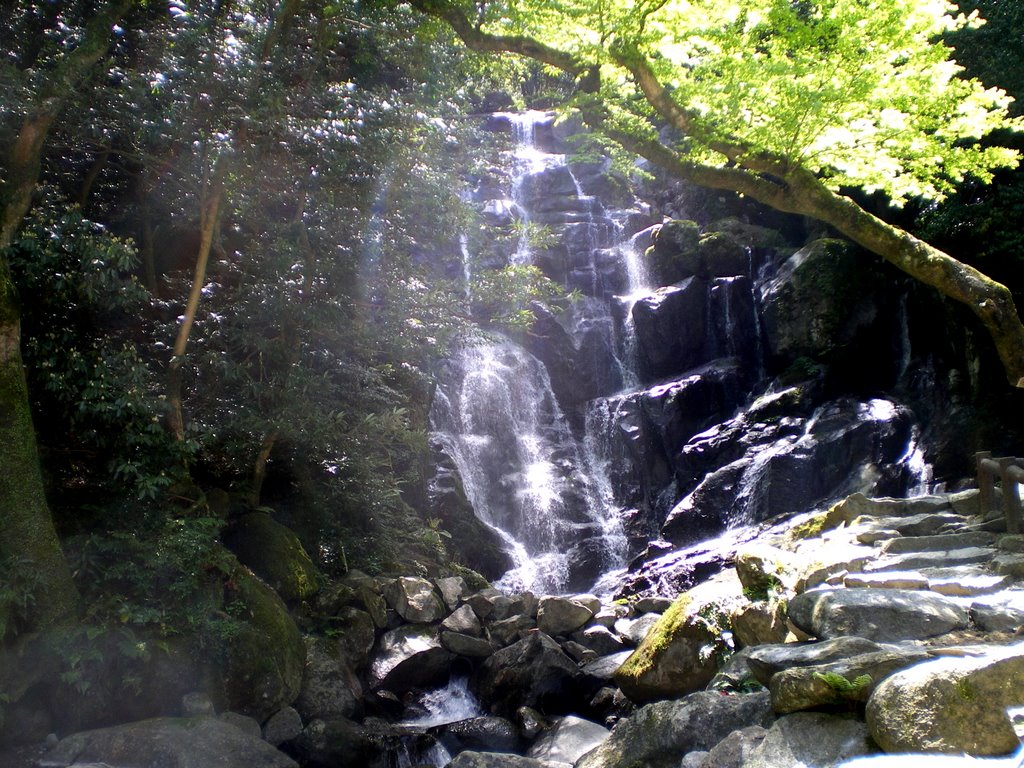 福岡 白糸の滝 Waterfall "shiraito no taki" in Fukuoka,Kyusyu,Japan.2009.Landscape. by 表野豊