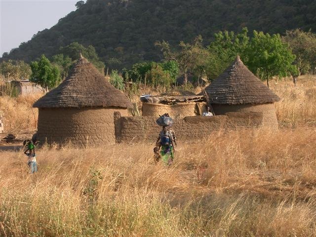 Huts alongside Garoua Ngoundere road, Cameroon by danccfc