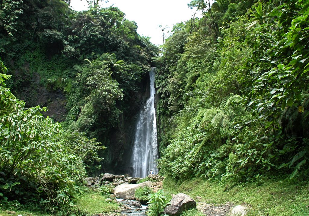 Pointing South, Cibodas Kebun Raya, Waterfall by Kees Roos