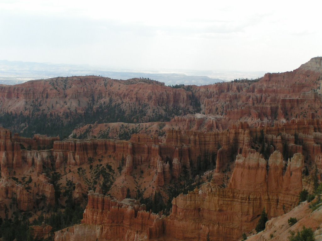 Inspiration Point Bryce Canyon UTAH by David Rooney