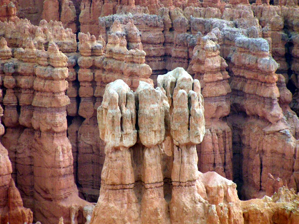 Inspiration Point Bryce Canyon UTAH by David Rooney