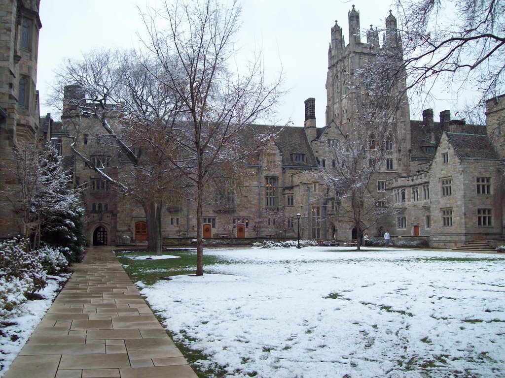 Yale: Memorial Quadrangle by Surricks