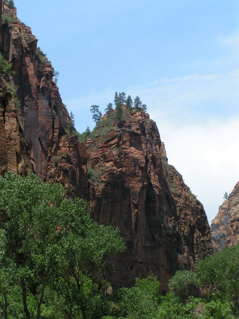 Zion Canyon UTAH by David Rooney