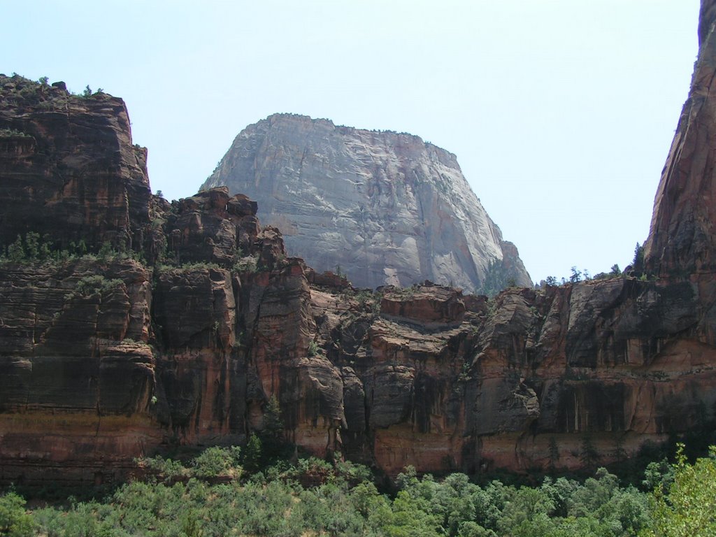 Zion Canyon UTAH by David Rooney