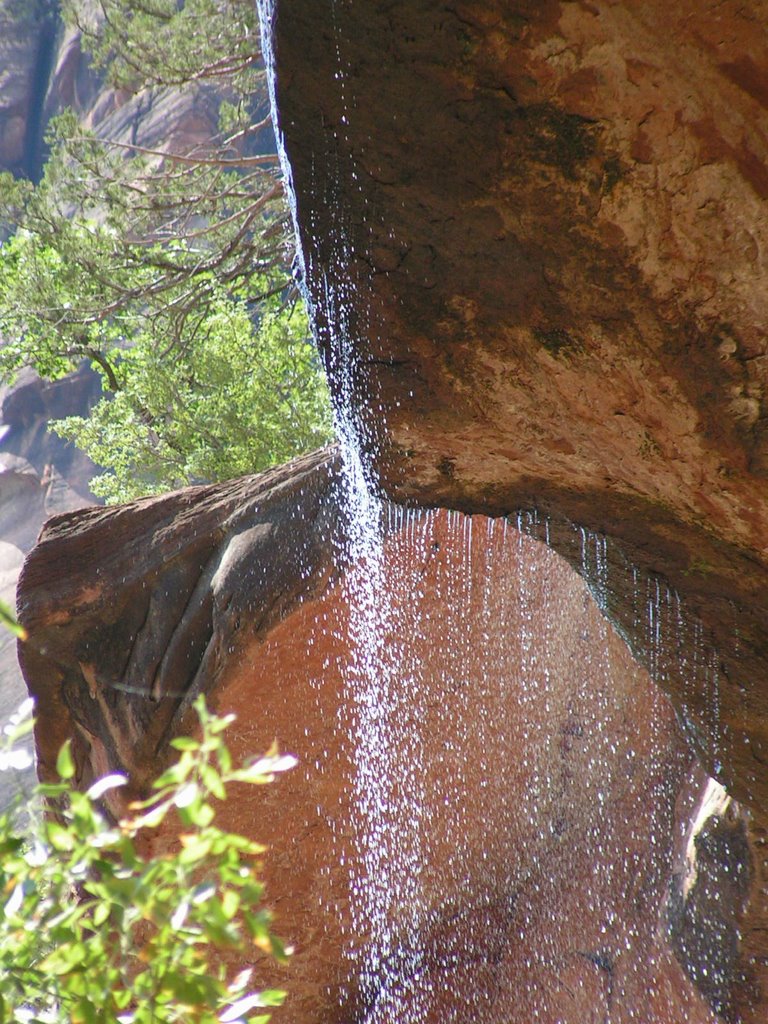 Zion Canyon UTAH by David Rooney