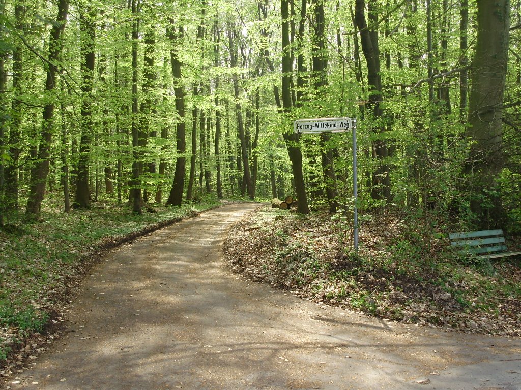 Wanderweg am Wiehengebirge by westfale67