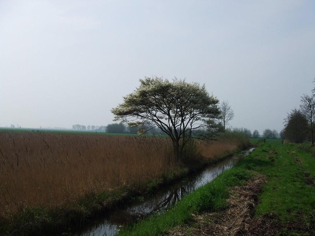 Nabij Breukelen by grhoef