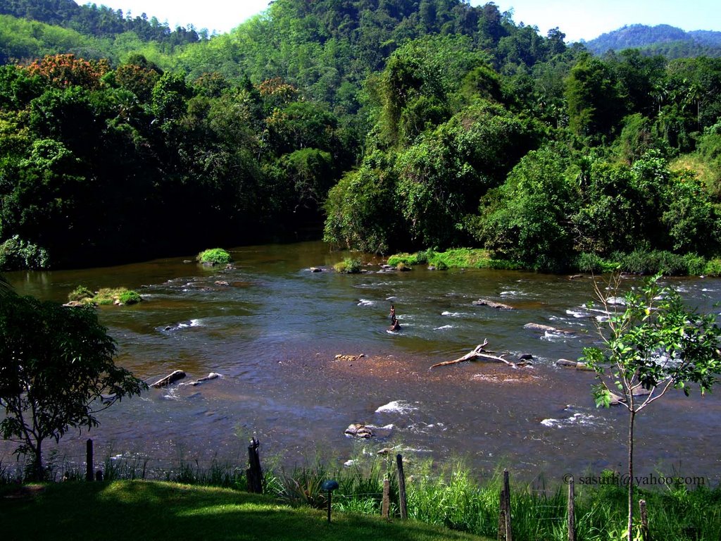 River @ Kitulgala by Samantha Suranjan