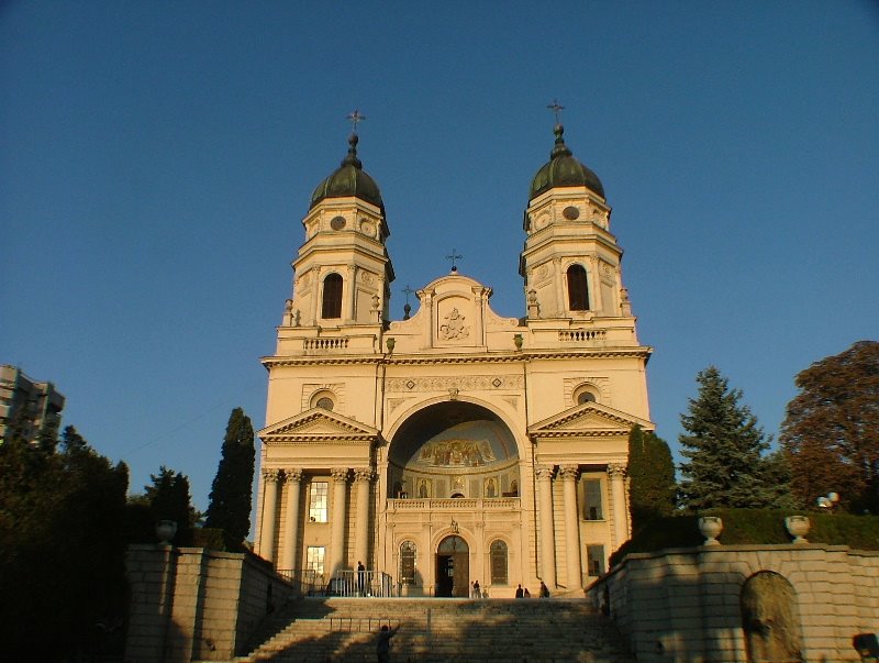 Catedrala Mitropolitana - Iasi by Alexandru Losonczy