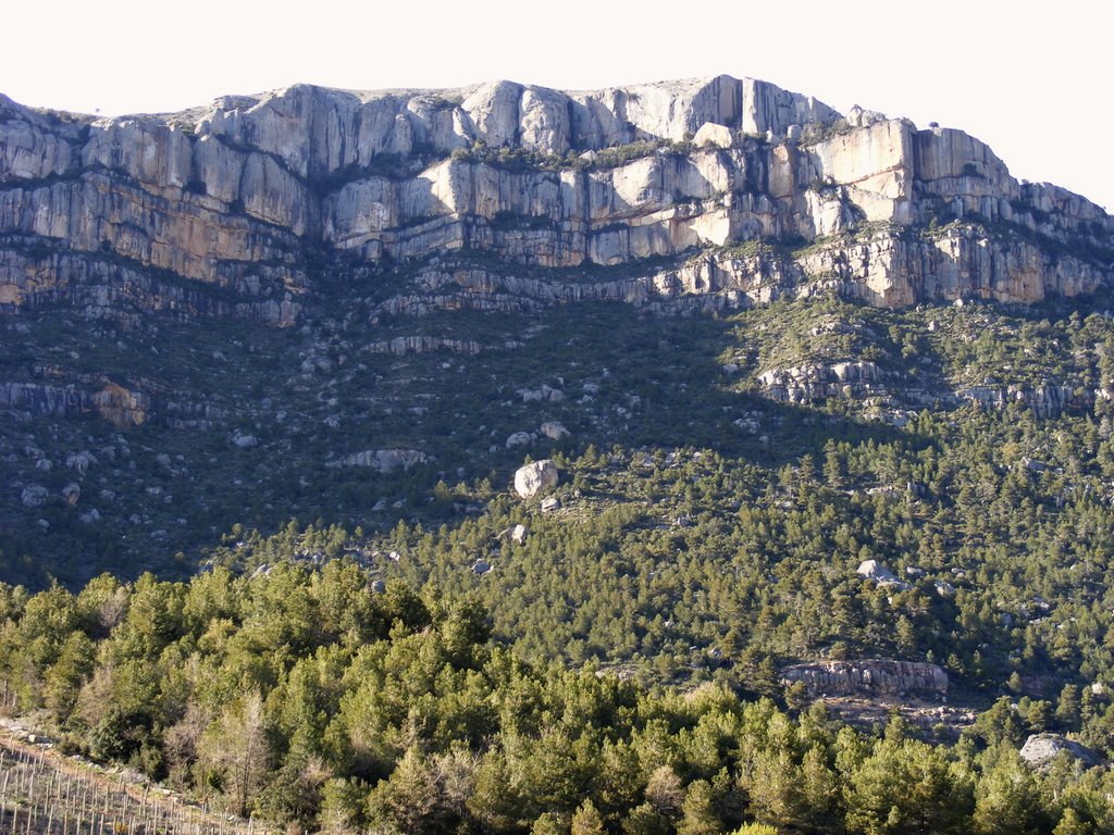 Sierra del Montsant, El Priorat, Tarragona. by hilberg