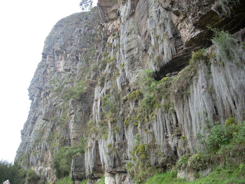 Pared de escalada by jose lois