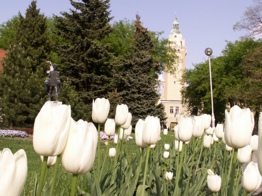 Petőfi Sándor szobra by Kikiriki