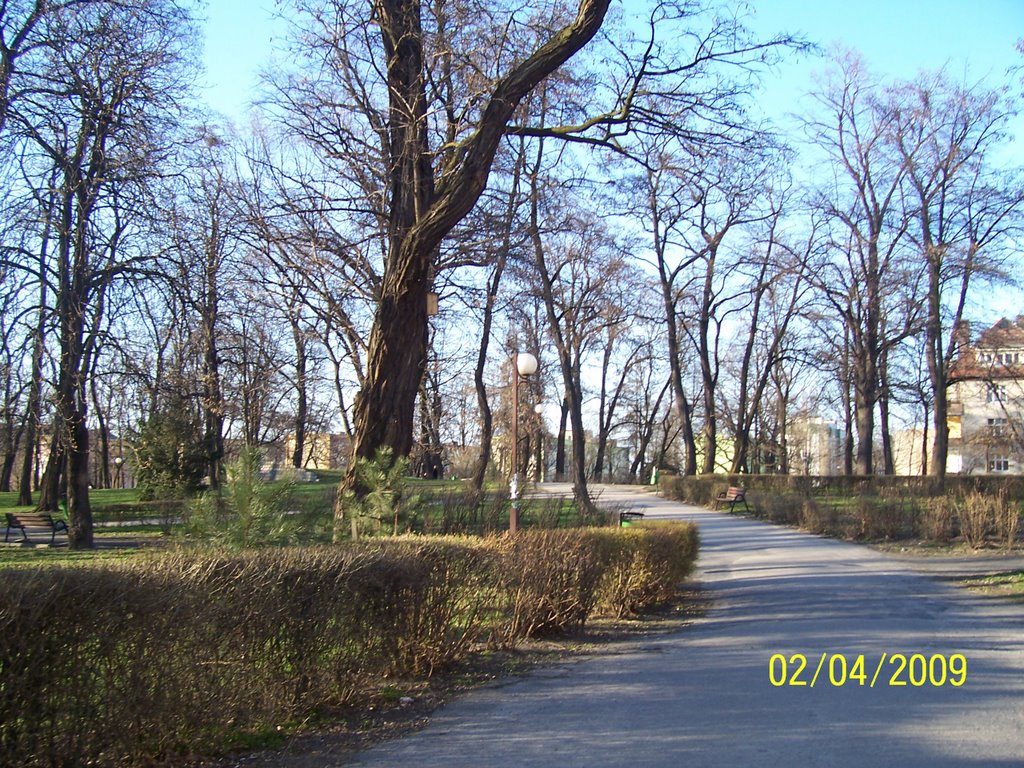 Głogów - Park przy Alei Wolności by natalia_sabat