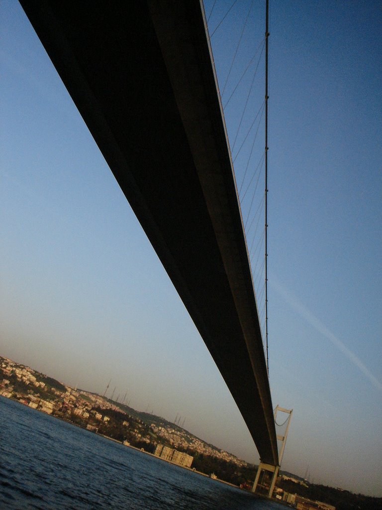 Istanbul - Under the Bridge by Trifon Yankov