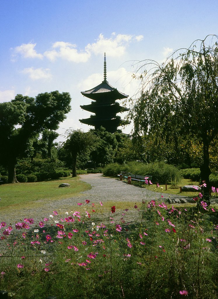 Toji temple by Benjamin Buemann