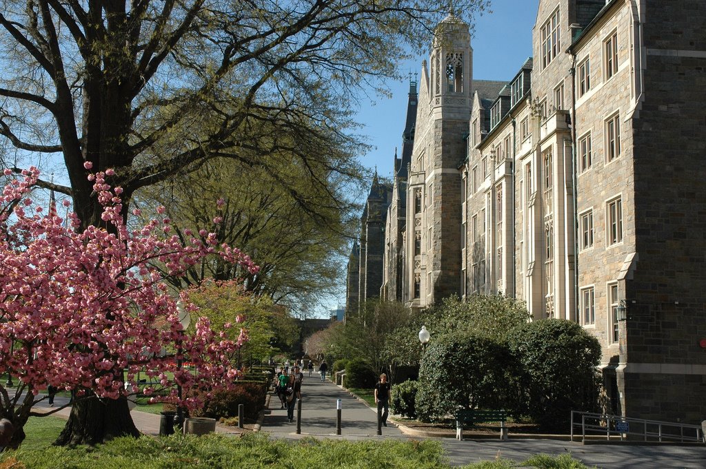 Copley hall sidewalk by clementdyson