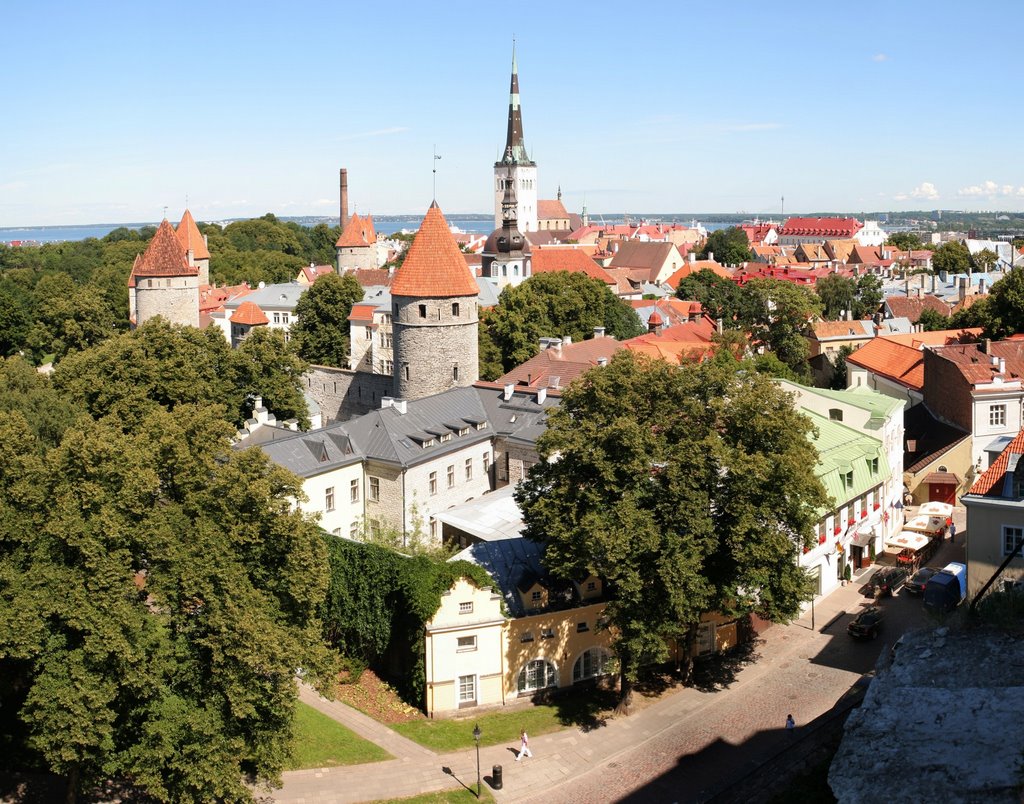 OldTallinn pano view by Rostyslav Shumeiko