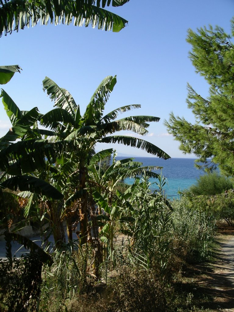 Kalabrien, Capo Vaticano, Weg zum Strand by Thomas Fehlmann