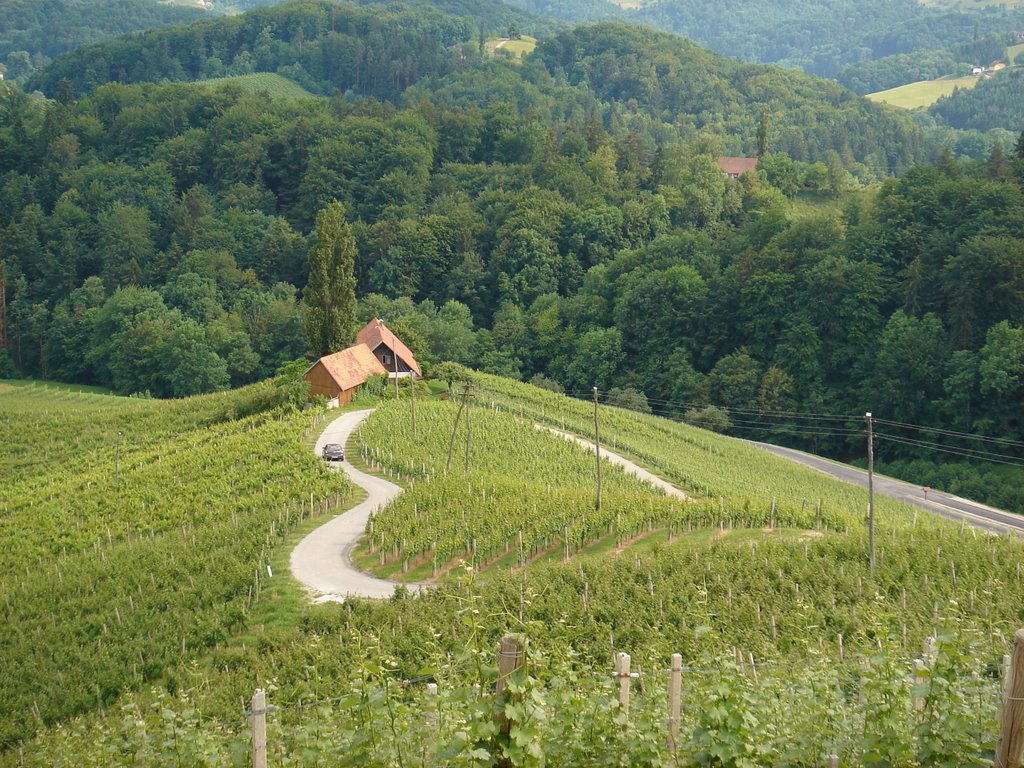 Heart road,Slovenija-ausrta by Anjani Gupta