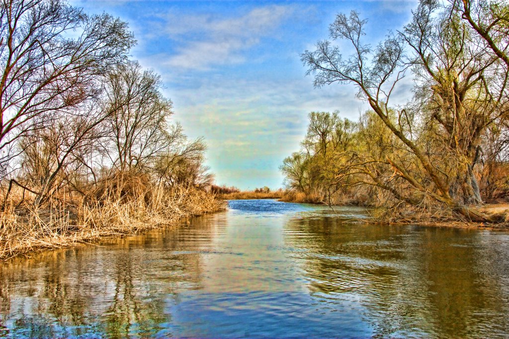 Astrakhan River Volga delta. Астрахань дельта Волги by lcp